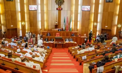 nigeria-senate